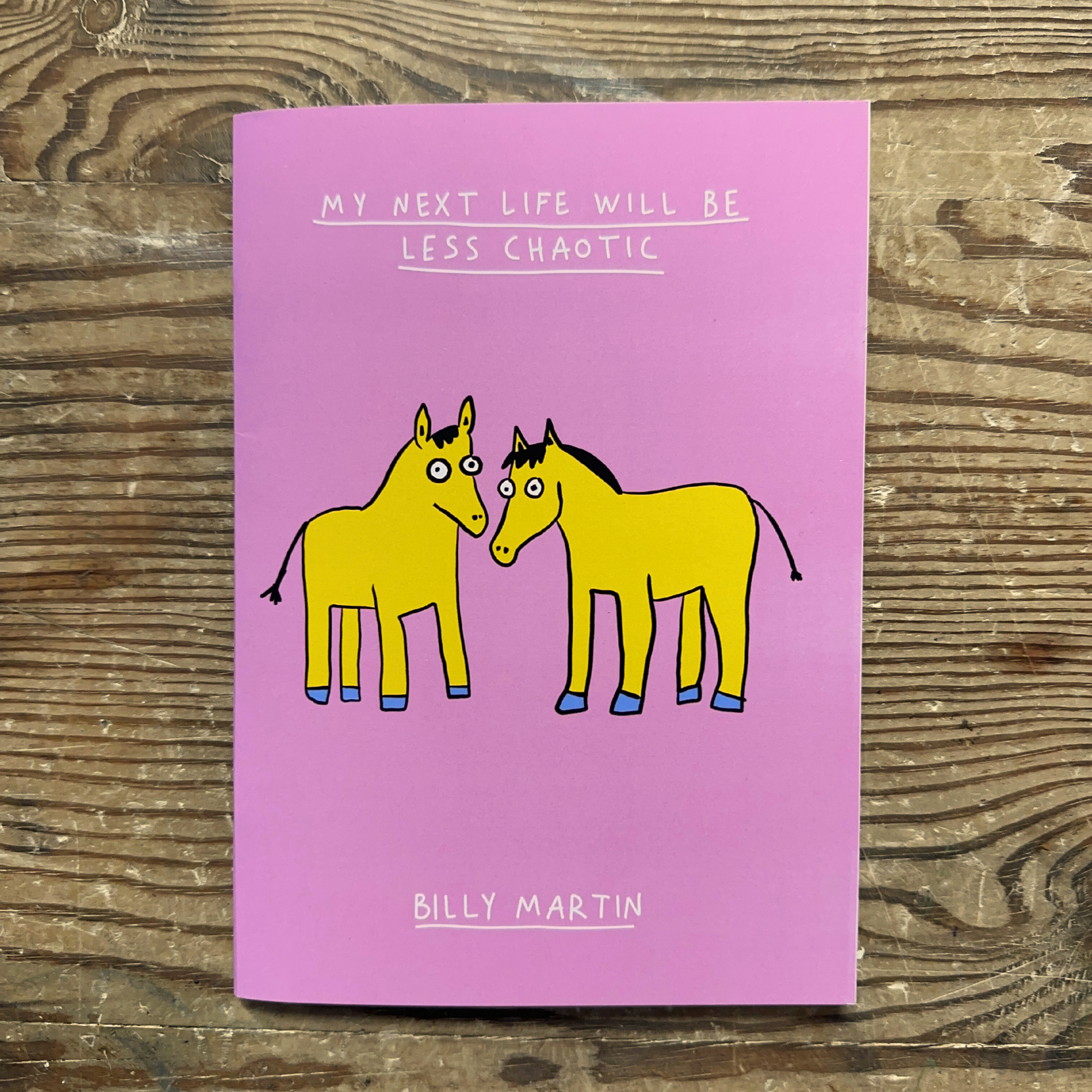 My Next Life Will Be Less Chaotic