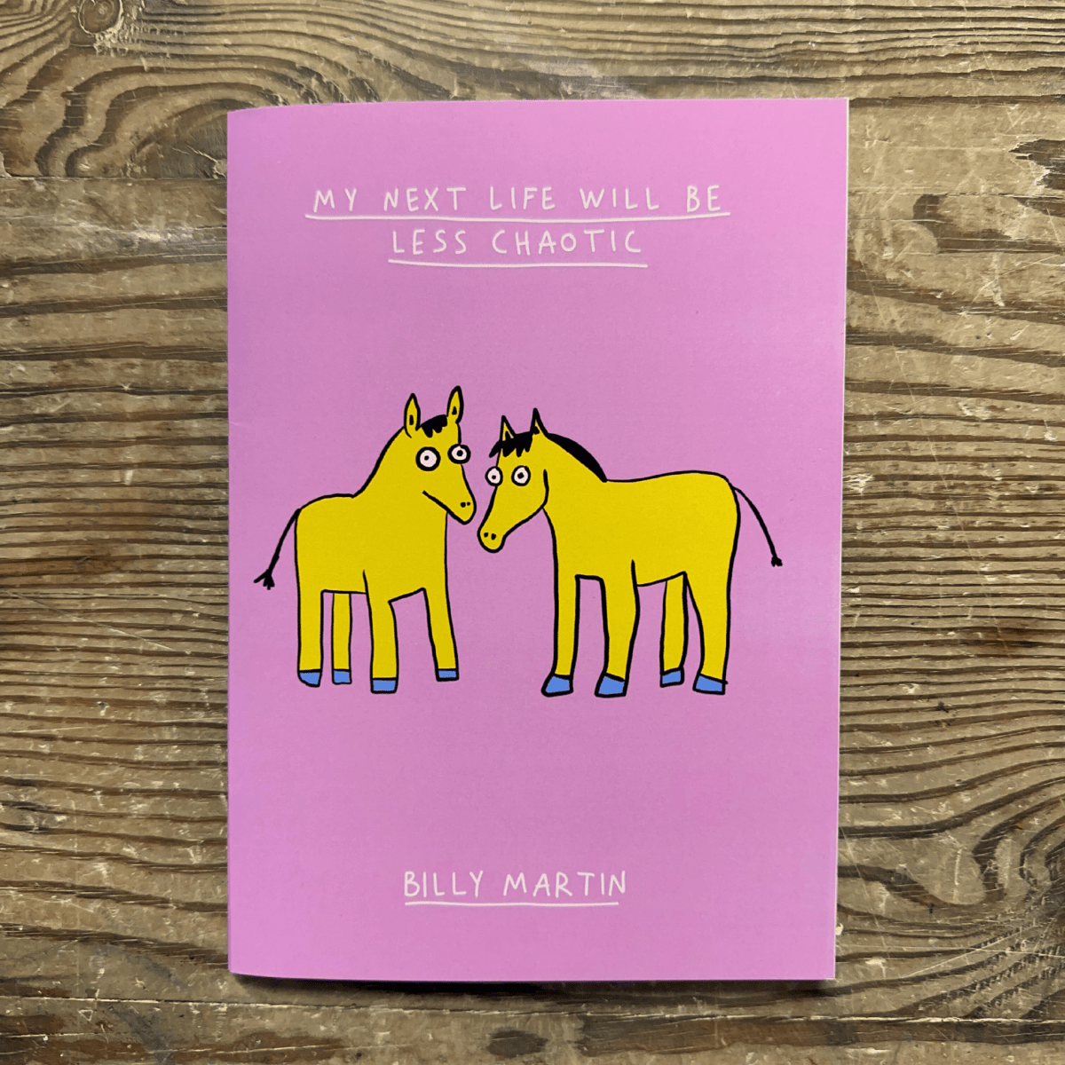 My Next Life Will Be Less Chaotic - S.A.D.BookBilly Martin