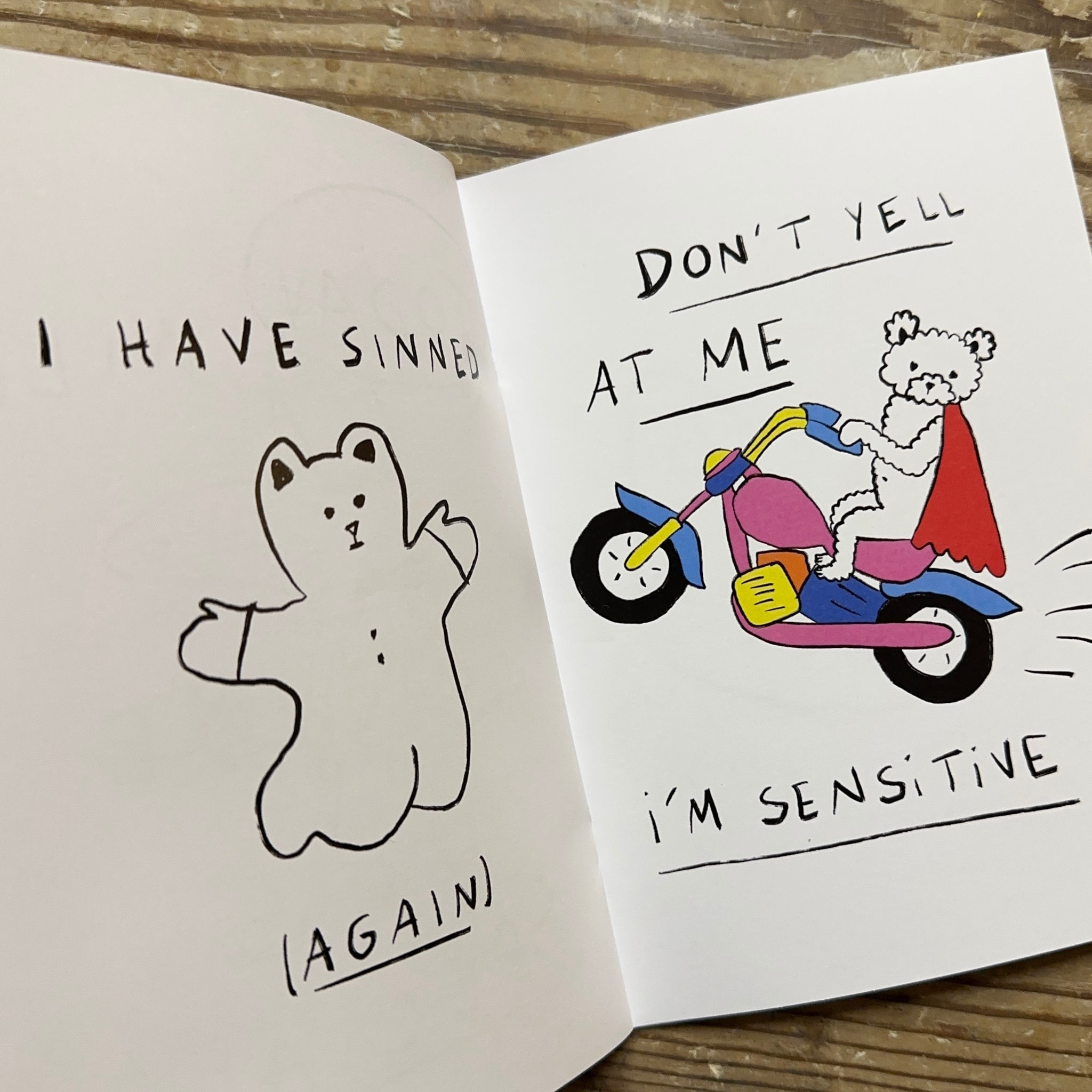 My Next Life Will Be Less Chaotic