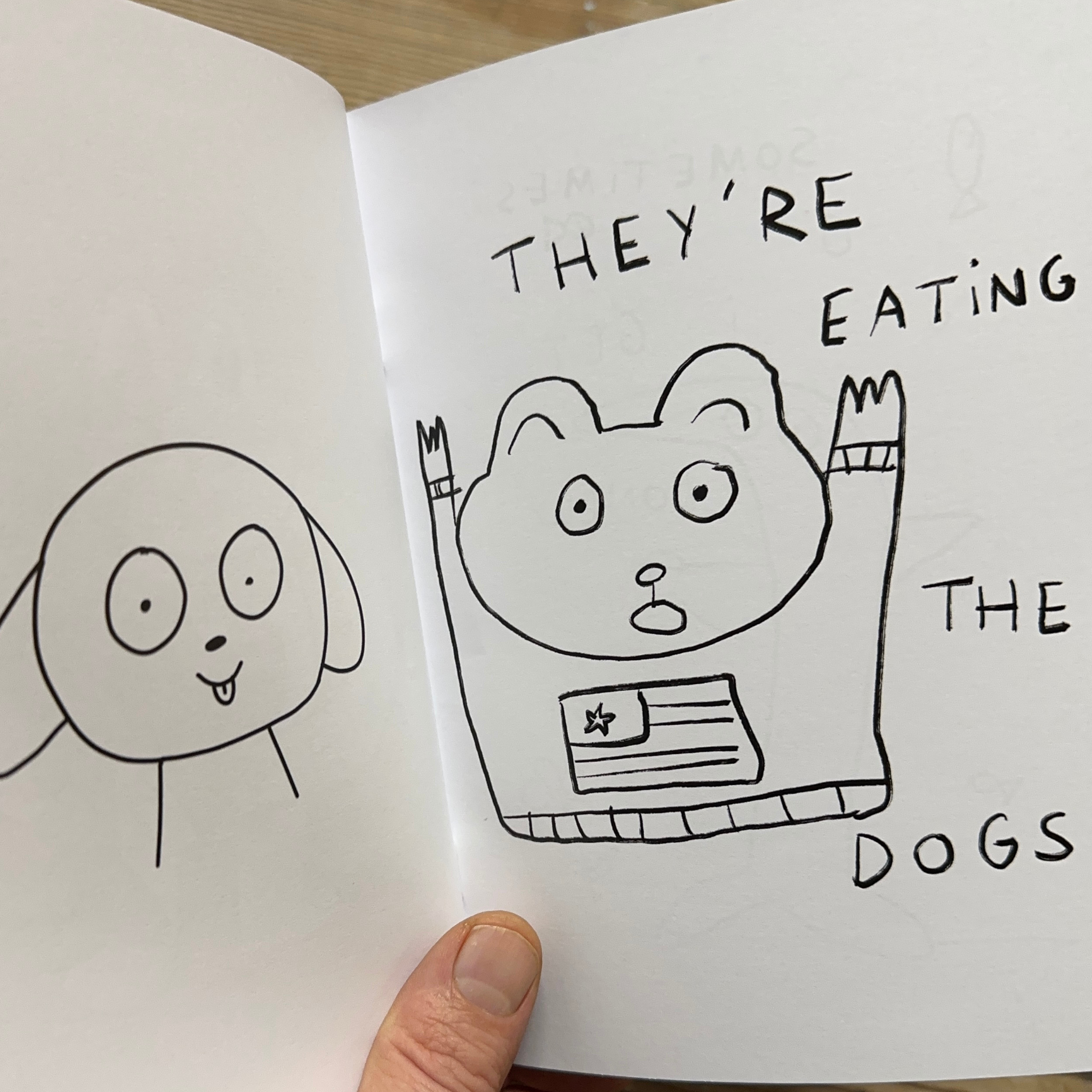 My Next Life Will Be Less Chaotic