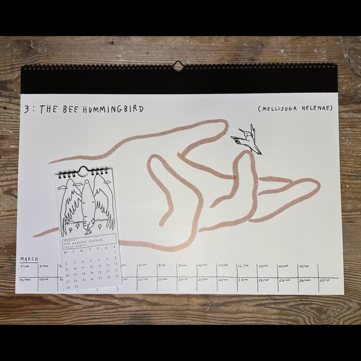 Calendar Bundle - S.A.D.CalendarBowser