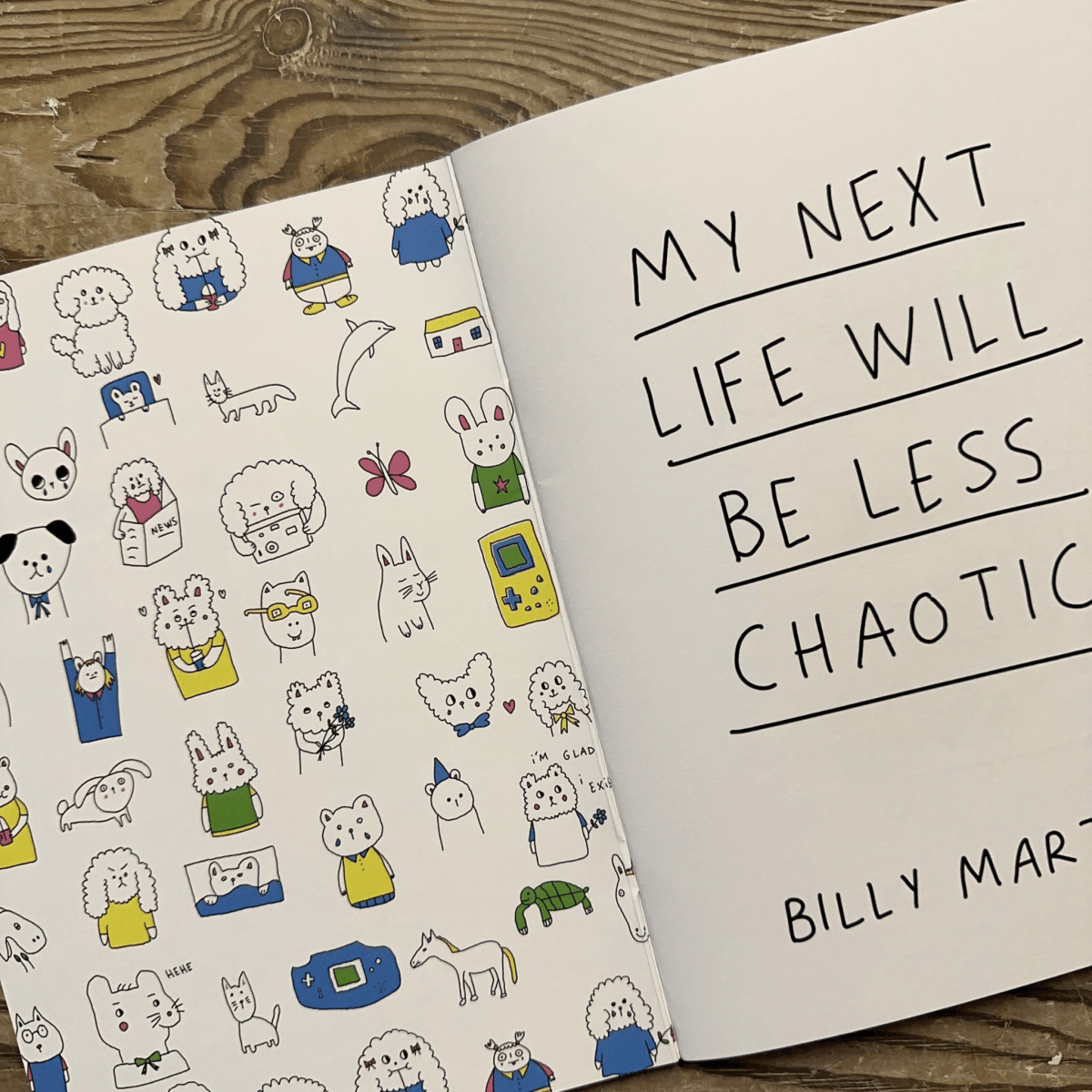 My Next Life Will Be Less Chaotic - S.A.D.BookBilly Martin